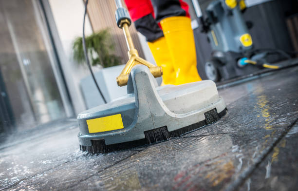 Best Pressure Washing Company Near Me  in Elmwood Park, IL